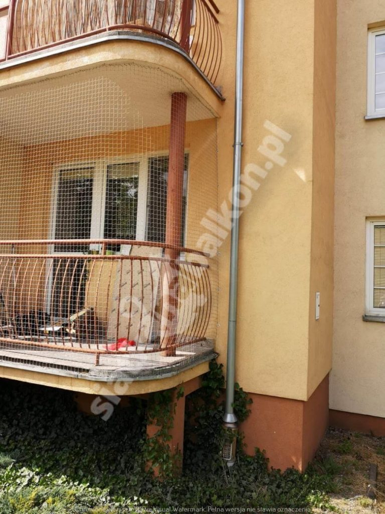 Idealna i bardzo profesjonalna siatka zabezpieczająca dla kota