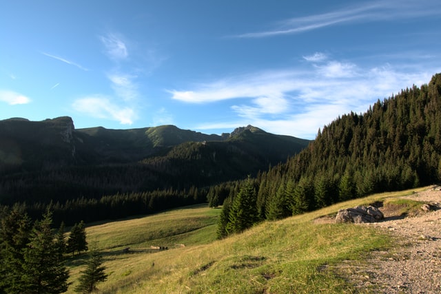 Zakopane - jakie są najpiękniejsze szlaki turystyczne w okolicy?