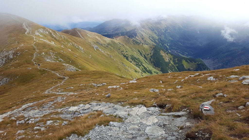 Zakopane domki: Całoroczny wynajem, podhalańska tradycja i niezależny komfort pod Tatrami